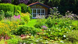 Ein gut gepflegter Garten mit bunten, blühenden Blumen. Vorne ein Teich mit Seerosen, im Hintergrund ein Gartenhaus.