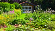 Ein gut gepflegter Garten mit bunten, blühenden Blumen. Vorne ein Teich mit Seerosen, im Hintergrund ein Gartenhaus.