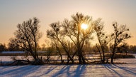 Sonnenuntergang bei einer verschneiten Winterlandschaft mit mehreren Bäumen und Sträuchern