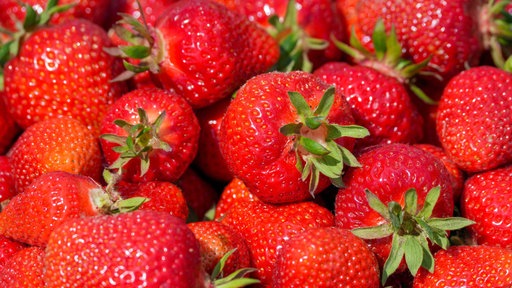 Erdbeeren