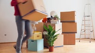 Umzugskartons, sowie Pflanzen, Lampen, Bücher, etc. in der Mitte einer leeren Wohnung. Rechts daneben eine Leiter, links vor den Kisten eine junge Frau, die durchs Bild geht. Sie trägt einen weiteren Umzugskarton.