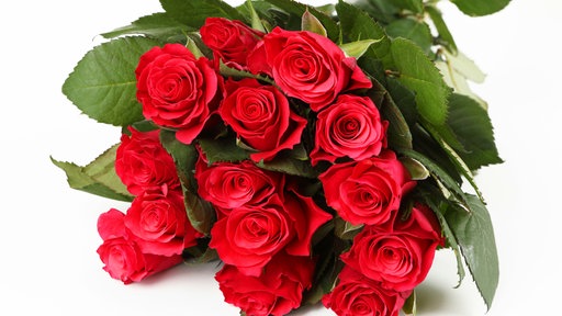 Rote Rosen