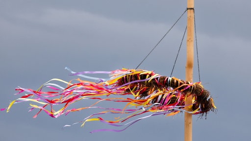 Bunte Bändel an einem Maibaum wehen im Wind