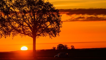 Ein farbenprächtiger rot-orangener Sonnenaufgang über der Landschaft. Man sieht die schwarze Silhouette eines Baumes und eines Autos und die leuchtende aufgehende Sonne am Horizont. 