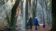 Familie macht einen Waldspaziergang im Herbst