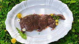 Ein Schoko-Kokos-Pudding in der Form eines Hasen, dekoriert mit bunten Schokolinsen und kleinen Blüten. Der Pudding liegt auf einer weißen Servierplatte, die auf grünem Rasen mit Klee steht. 