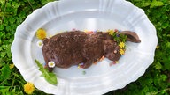 Ein Schoko-Kokos-Pudding in der Form eines Hasen, dekoriert mit bunten Schokolinsen und kleinen Blüten. Der Pudding liegt auf einer weißen Servierplatte, die auf grünem Rasen mit Klee steht. 