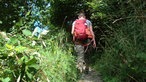 Wandern am Baldeneysteig in Essen
