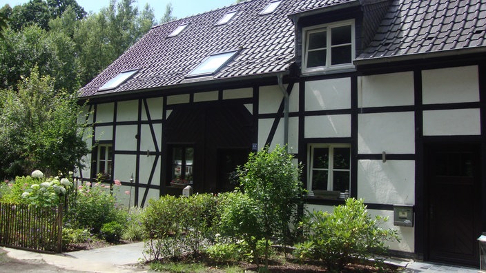 Wandern am Baldeneysteig in Essen