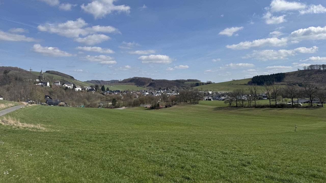 Wiese mit Bäumen, im Hintergrund ein Dorf
