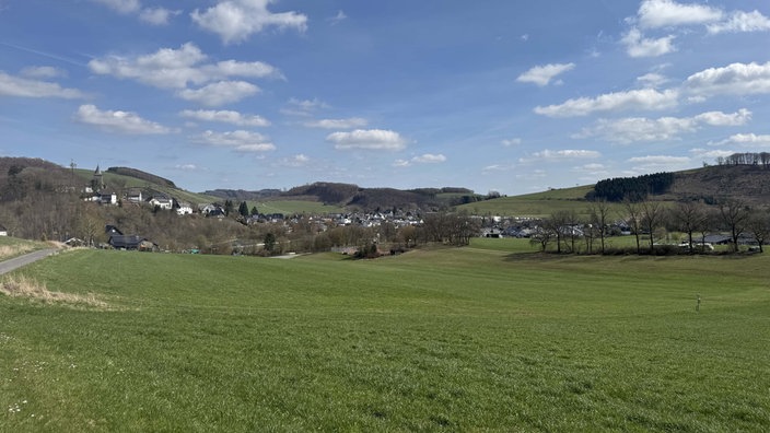 Wiese mit Bäumen, im Hintergrund ein Dorf