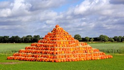 Eine sehr große Kürbis-Pyramide auf einer Wiese