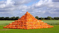Eine sehr große Kürbis-Pyramide auf einer Wiese