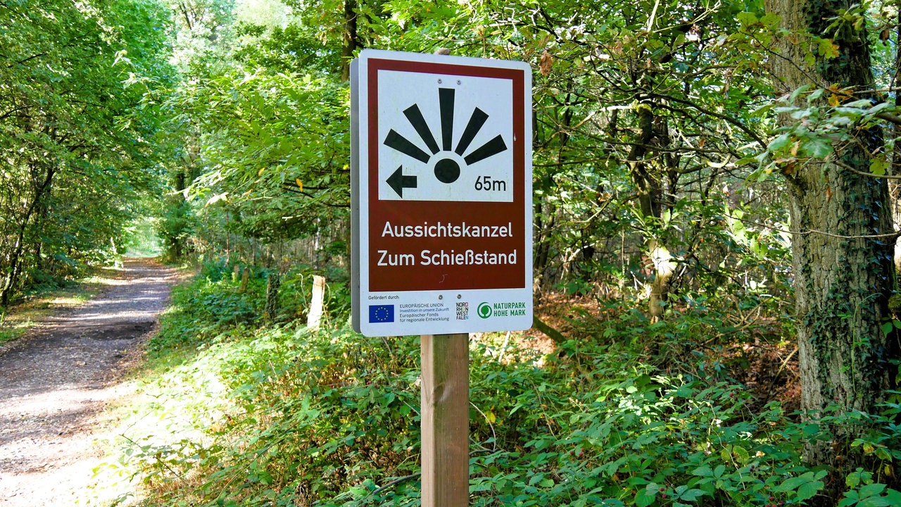 Ein Hinweis-Wanderschild Schild am Waldwegsrand mit der Aufschrift "Aussichtskanzel Zum Schießstand"
