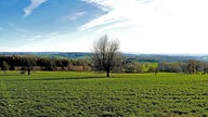 Gin-Wanderung in Much