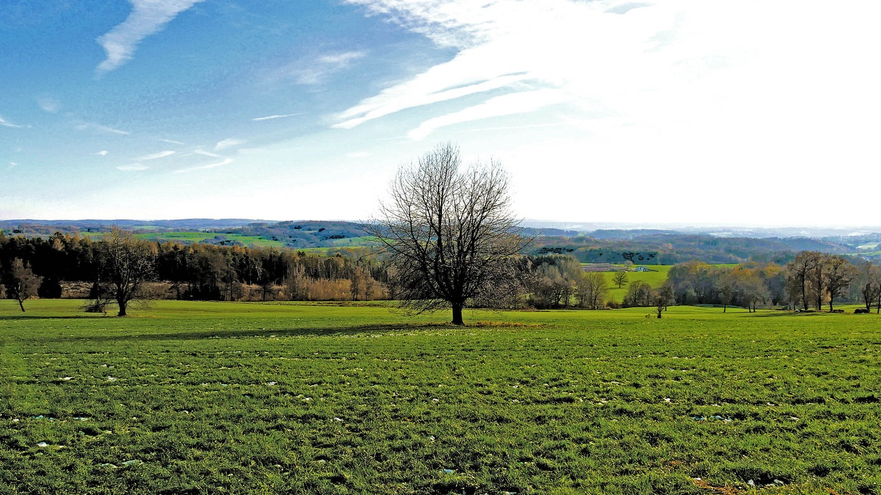 Gin-Wanderung in Much