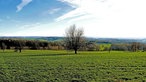 Gin-Wanderung in Much