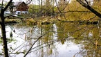 Gin-Wanderung in Much