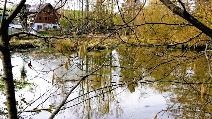 Gin-Wanderung in Much