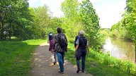 Spaziergänger von hinten auf einer Wanderung am Wasser durch grüne Natur