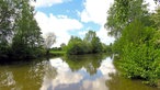 Blick aufs Wasser, das den blauen Himmel spiegelt, umrandet von Bäumen und Sträuchern