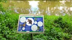 Hinweistafel am Wasser aufgestellt mit Infos über die besondere Flora und Fauna