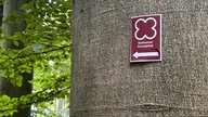 Ein dunkelrotes Schild mit der Aufschrift "Nieheimer Kunstpfad" hängt an einem Baum. 