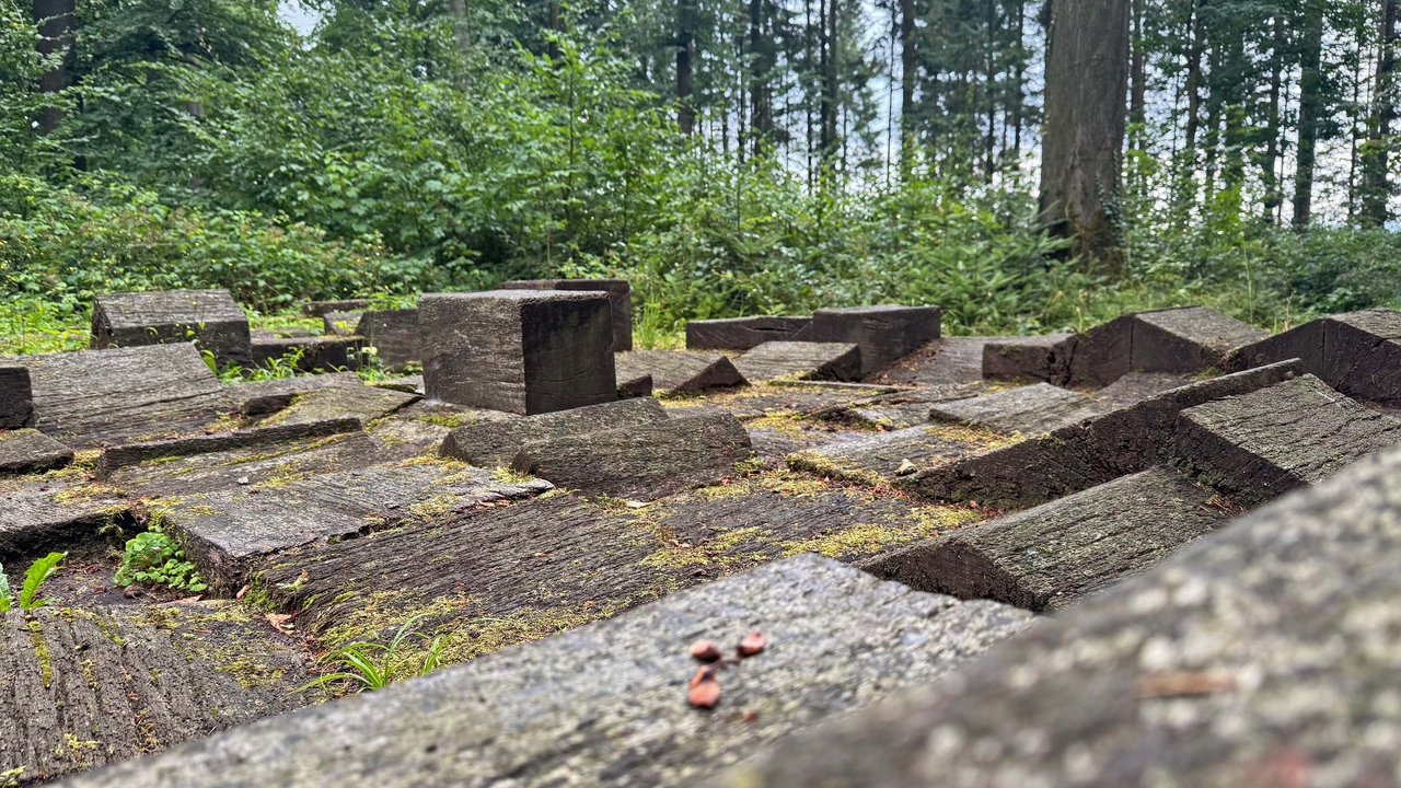 Das Kunstwerk "Parkettinsel", bestehend aus verschiedenen Holzklötzen, liegt auf dem Waldboden des Nieheimer Kunstpfads.
