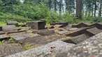 Das Kunstwerk "Parkettinsel", bestehend aus verschiedenen Holzklötzen, liegt auf dem Waldboden des Nieheimer Kunstpfads.