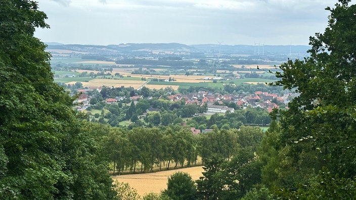 Ausblick auf den Naturpark Teutoburger Wald bzw. auf das Eggegebirge.