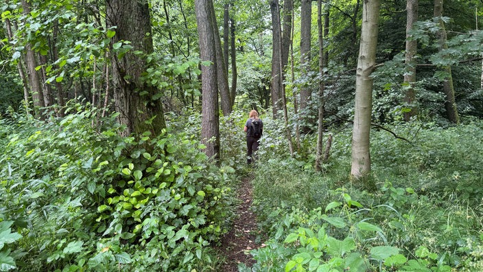 Ein Mensch steht im dicht bewachsenen Wald.