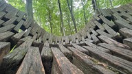Eine Nestschaukel aus Holz hängt im Wald des Nieheimer Kunstpfads. 