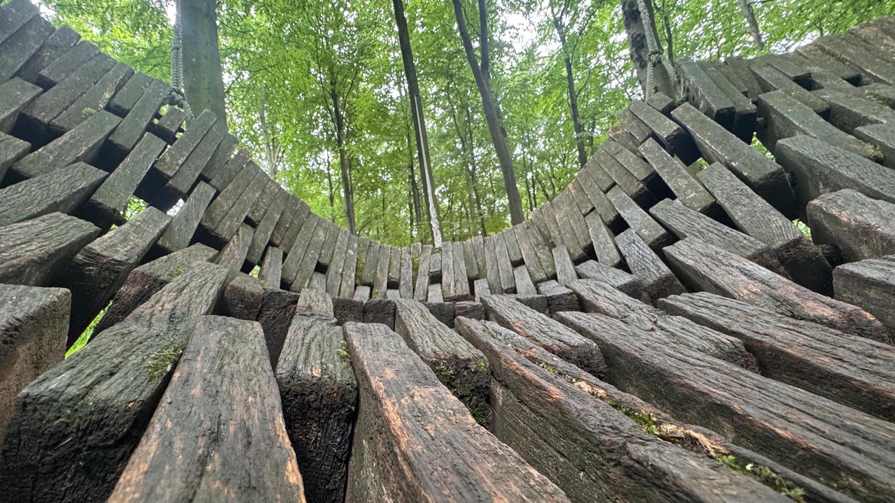 Eine Nestschaukel aus Holz hängt im Wald des Nieheimer Kunstpfads. 