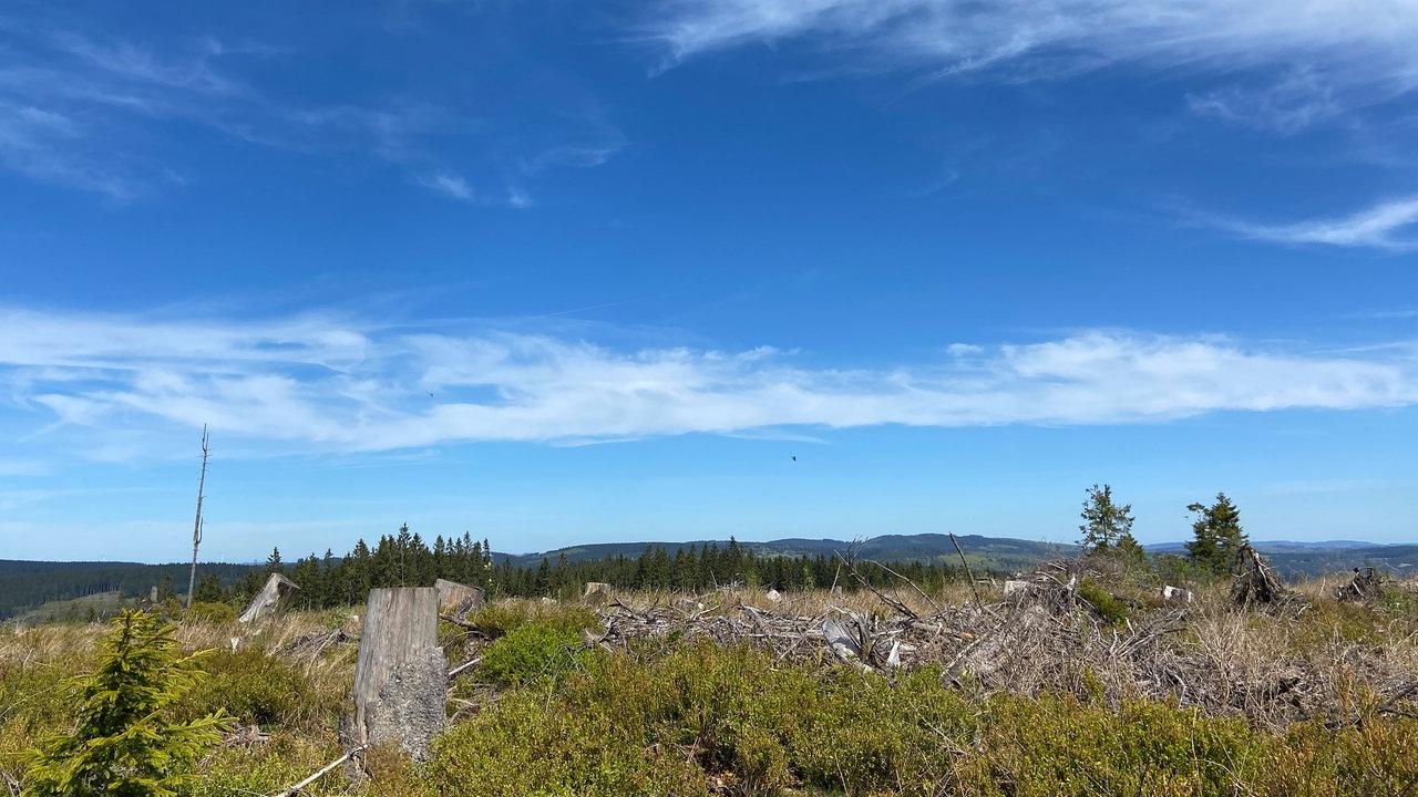 Der Rothaarsteig: Weiblick in den Kreis Olpe und viel blauer Himmel mit Wölkchen