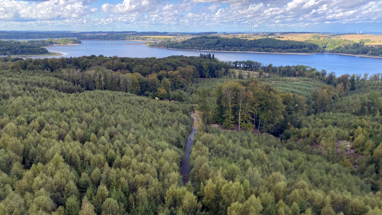 Wanderschön Sauerland-Waldroute: Blick von oben über den Wald