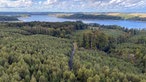 Wanderschön Sauerland-Waldroute: Blick von oben über den Wald