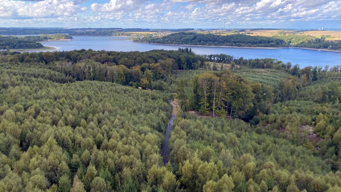 Wanderschön Sauerland-Waldroute: Blick von oben über den Wald