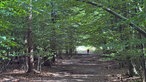 Wanderschön Sauerland-Waldroute: Weg durch alten Laubwald