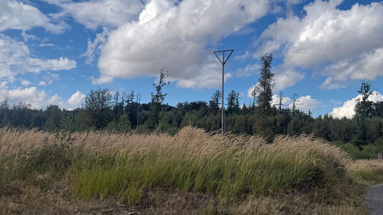 Wanderschön Sauerland-Waldroute: Blick über freie Felder