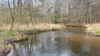 Premium-Wanderweg "Schwalmbruch": Breiter, ruhiger Fluss zwischen Schilf und lichten Bäumen.
