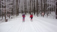 Zwei Personen im schneebedeckten Wald auf Langlauf-Skiern unterwegs