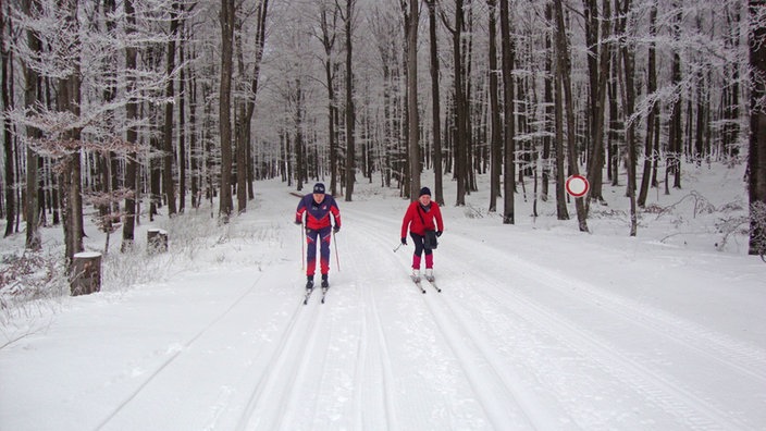 Zwei Personen im schneebedeckten Wald auf Langlauf-Skiern unterwegs