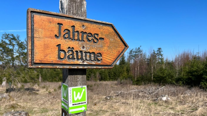Die Bäume des Jahres