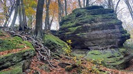 Ein Felsen im Wald, der "Teufelsfelsen" genannt wird am Wanderweg "Tecklenburger Romantik"