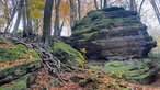 Ein Felsen im Wald, der "Teufelsfelsen" genannt wird am Wanderweg "Tecklenburger Romantik"