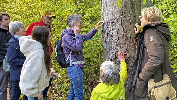 Teilnehmer der Erlebnis-Wald-Expedition stehen an einem Baum. Eine Frau mit kurzen Haaren und lila Jacke hält ein Stethoskop an den Baumstamm.