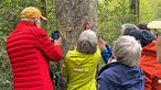 Teilnehmerinnen und Teilnehmer der Waldexpedition stehen um einen Baum und schauen die Rinde mit Lupen und Smartphonekamera genau an.