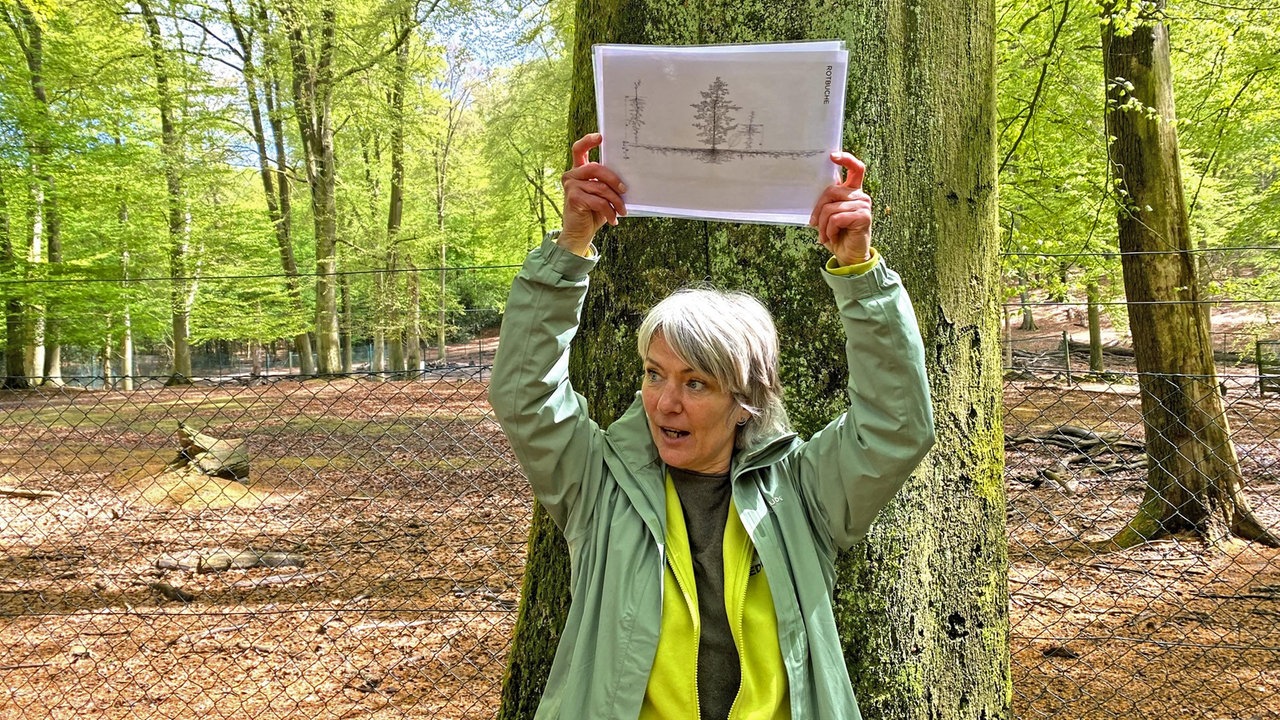 Eine Frau mit grüner Jacke hält eine Zeichnung hoch, auf der Bäume und deren Wurzelwerk erkennbar sind. 