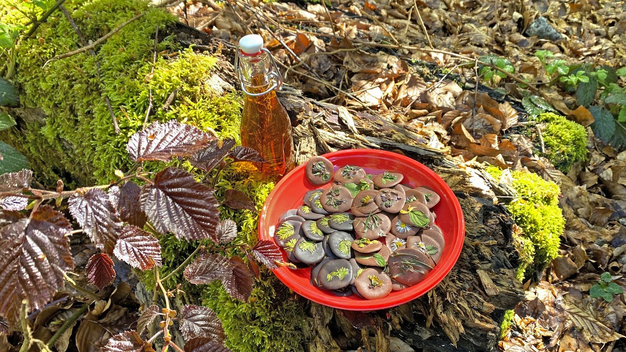 Ein roter Plastikteller mit Schoko-Wald-Keksen und eine Glasflasche mit Douglasien-Schnaps stehen auf einem umgekippten Baumstamm auf dem Waldboden.