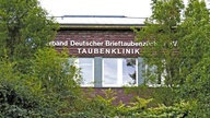 Zechenhäuser: Die Außenfassade eines höhergelegenen Gebäudes ragt oberhalb von Gebüsch umrahmt von Bäumen mit der Aufschrift "Verband Deutschter Brieftaubenzüchter e.V. Taubenklinki"